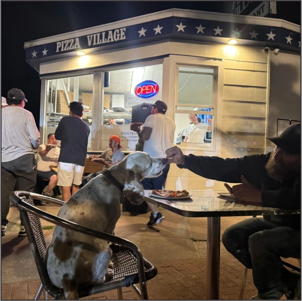 gallery 1 pizza village